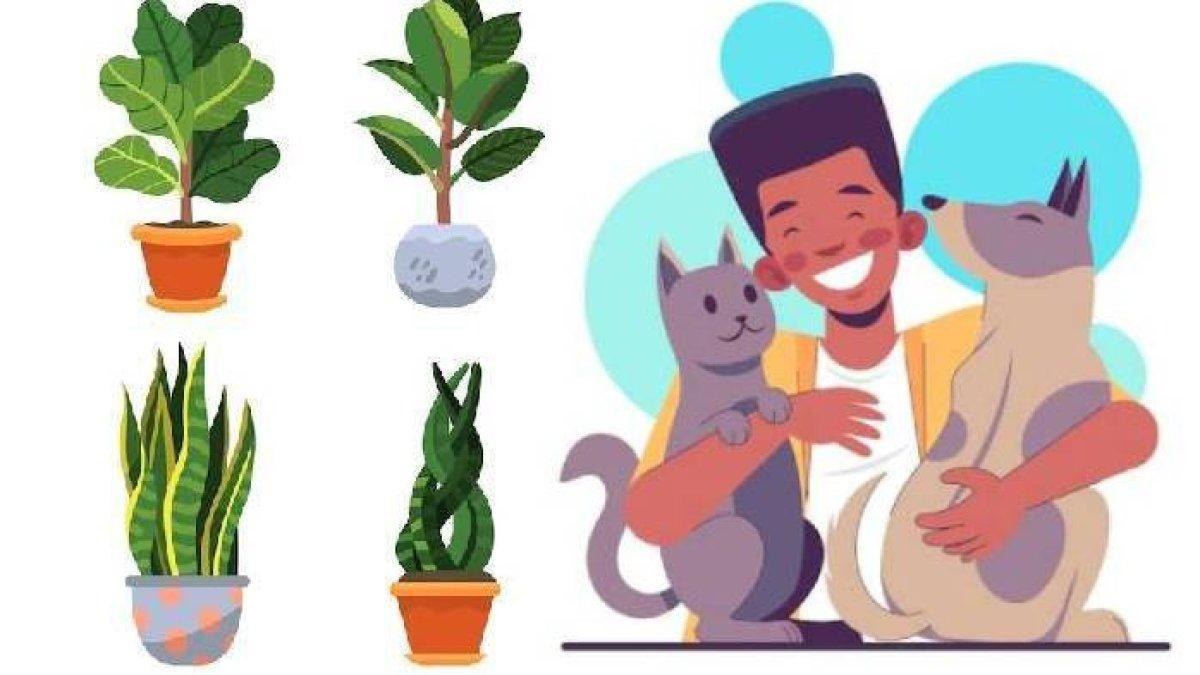 Ilustrasi tumbuhan dan hewan