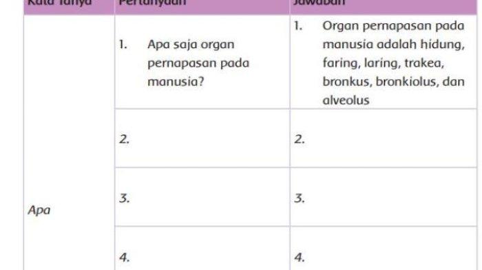 Inilah kunci jawaban buku tematik kelas 5 SD tema 2 halaman 16, 17, dan 18 tentang Sistem Pernapasan pada Manusia.
