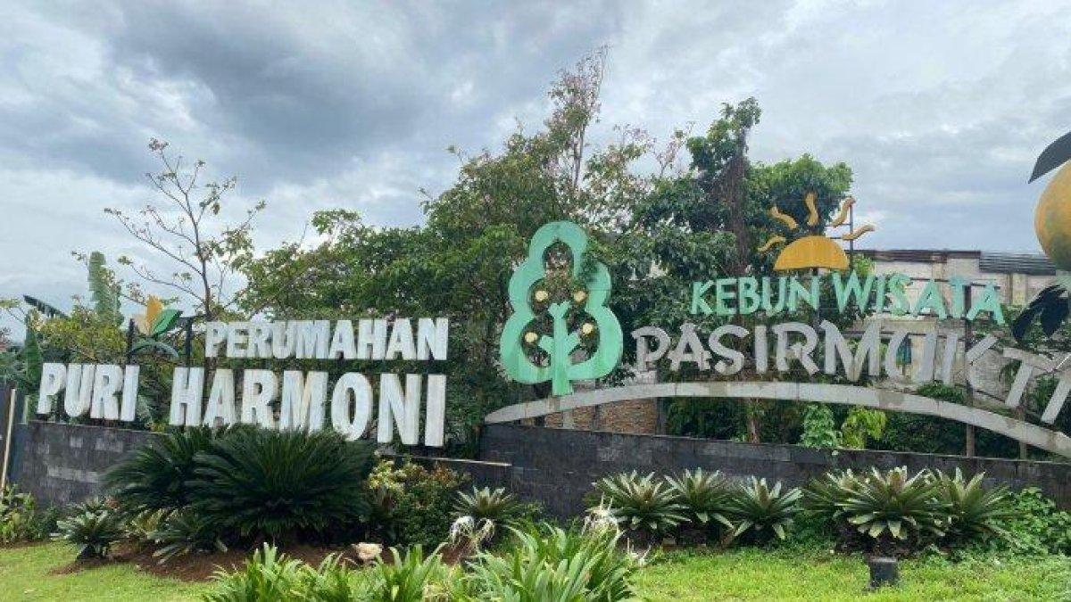 TEMPAT WISATA BOGOR - Rekomendasi tempat wisata agro di Bogor yang memiliki lahan luas. Kebun Wisata Pasirmukti menawarkan pengunjung bisa belajar banyak hal mengenai pertanian mulai dari tanaman, peternakan, dan budi daya ikan.