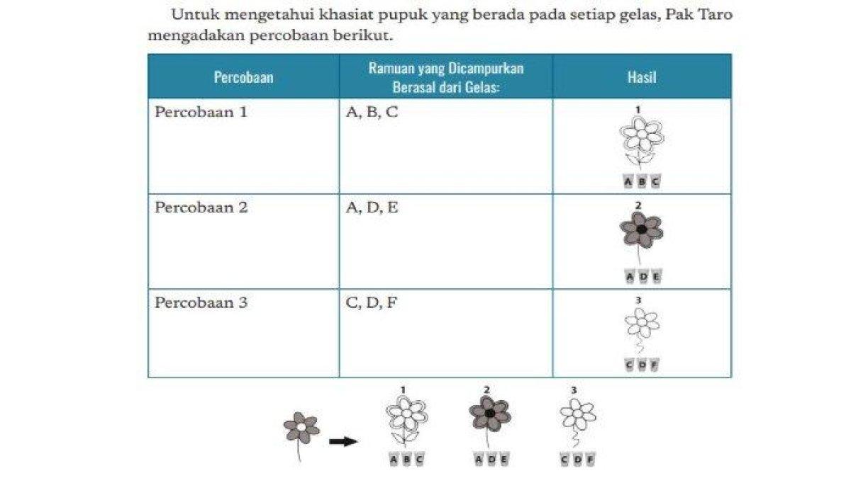 Jawaban Informatika Kelas 8 Halaman 28 Kurikulum Merdeka