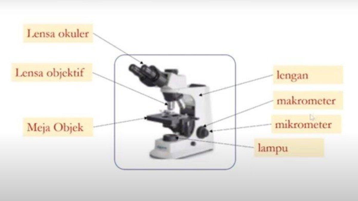 Jawaban nomor 4, IPA kelas 8 halaman 25-26 Kurikulum Merdeka, bagian Review Bab