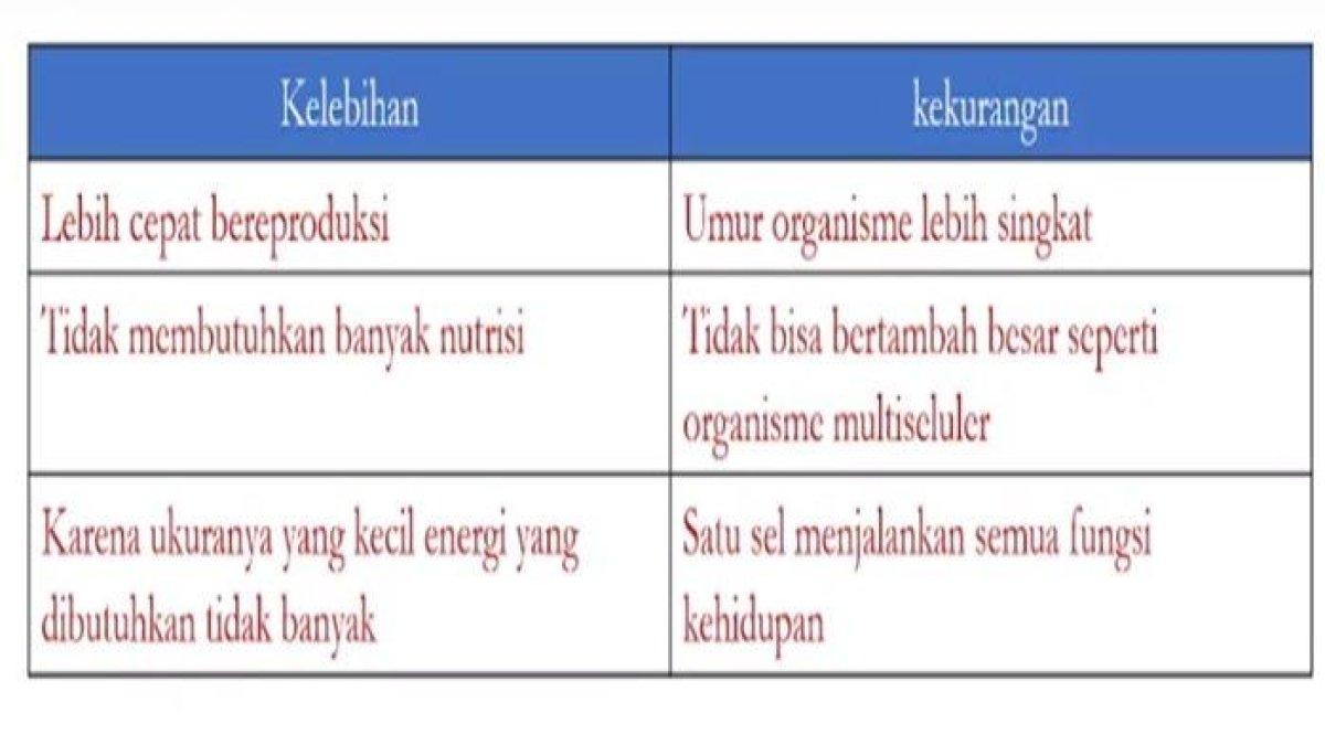 Jawaban soal nomor 14 b, IPA kelas 8 halaman 25-26 Kurikulum Merdeka, bagian Review Bab