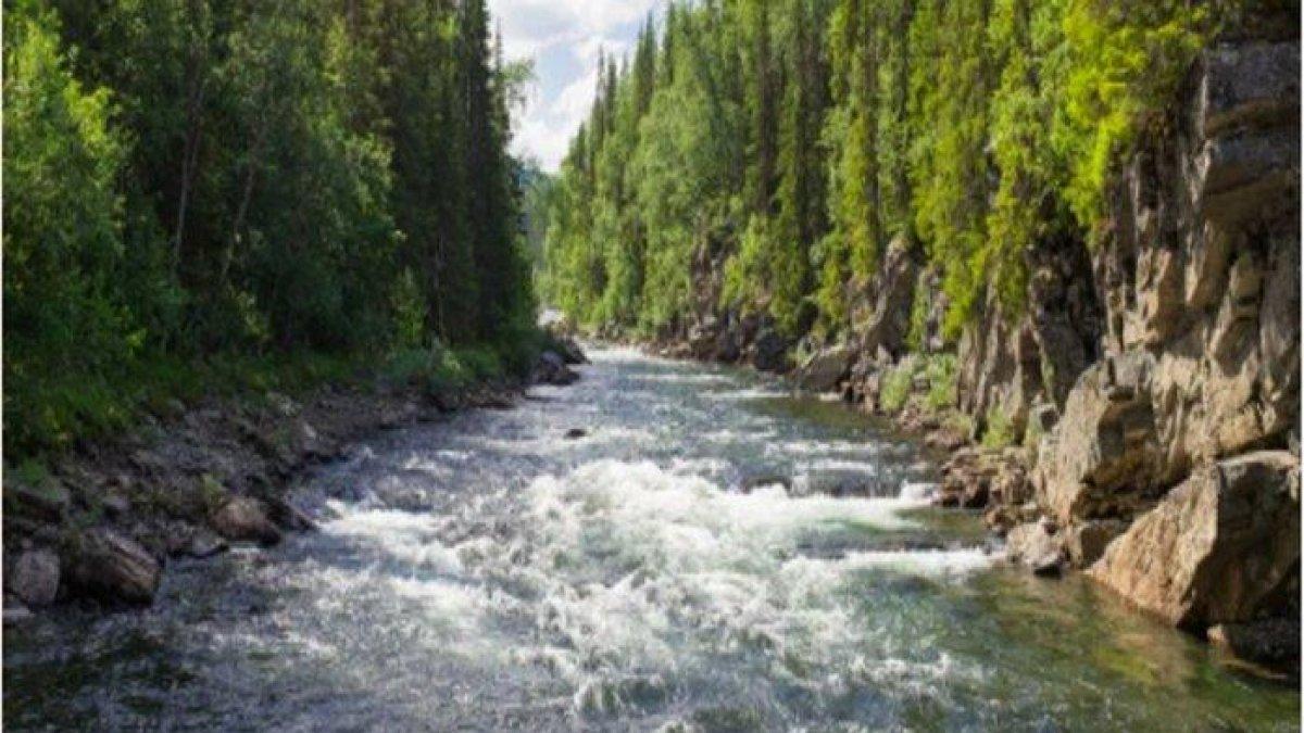 Ilustrasi. Inilah kunci jawaban tema 8 kelas 5 SD halaman 3-4 tentang fungsi air bagi makhluk hidup.