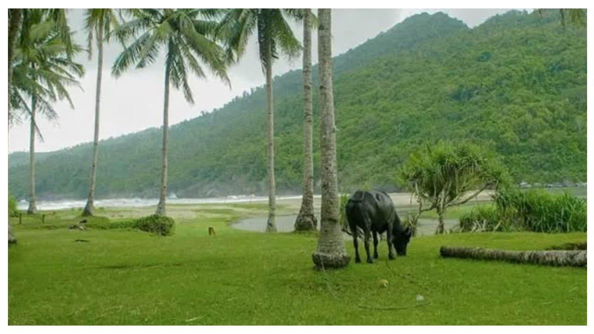 Pantai Kebo