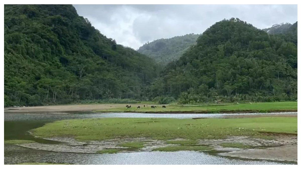 Pantai Kebo