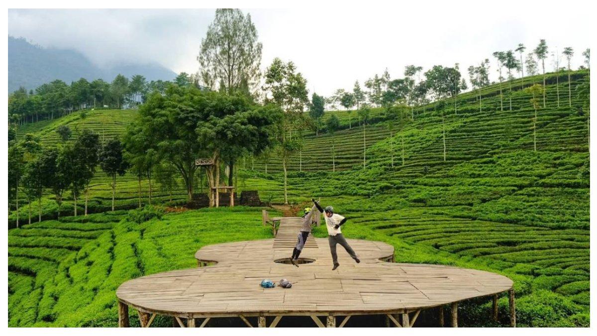 Kebun Teh Sirah Kencong