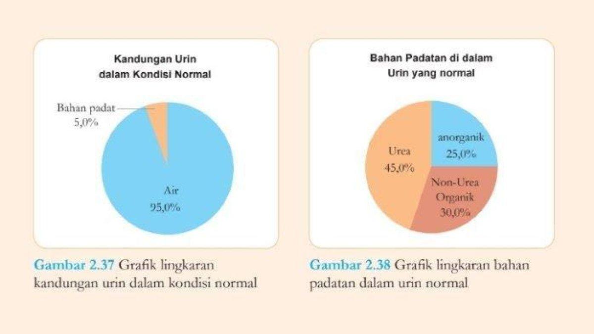 Kunci jawaban IPA kelas 8