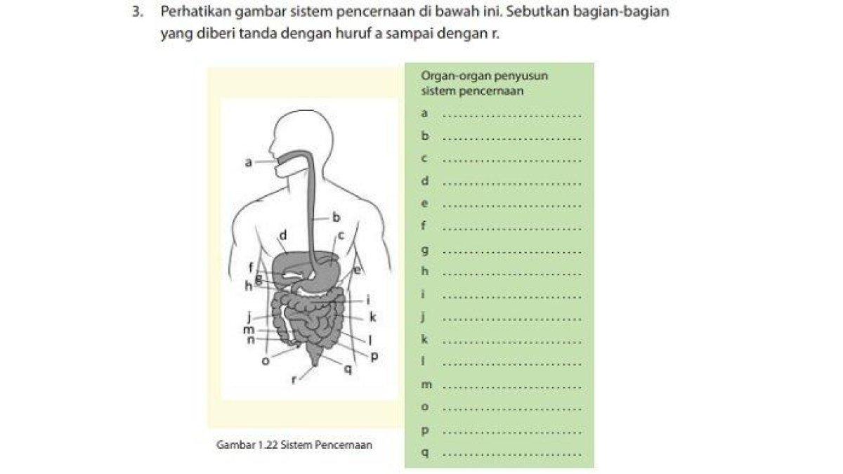Kunci Jawaban IPA Kelas 7 SMP Halaman 27 Semester 2: Uji Kompetensi.