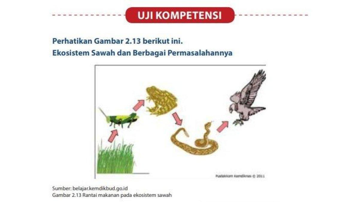 Kunci Jawaban IPA Kelas 8 SMP Halaman 110, 111, 112 dan 113: Uji Kompetensi, Semester 2.