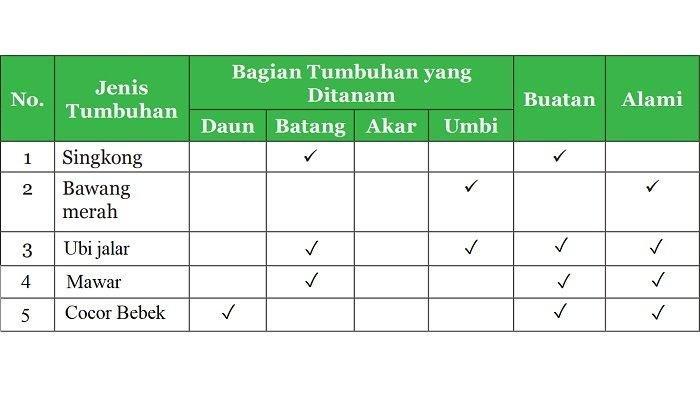 Kunci Jawaban IPA Kelas 9 SMP Halaman 54