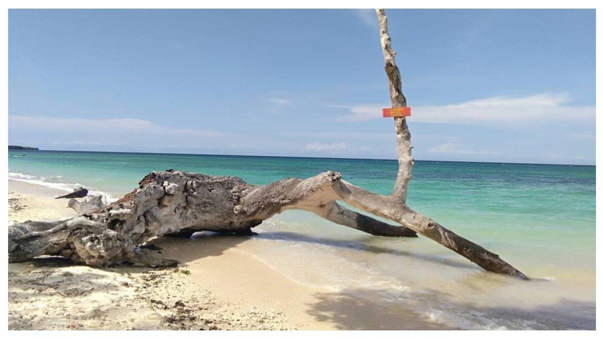 Pasir putih di Pantai Londa Lima