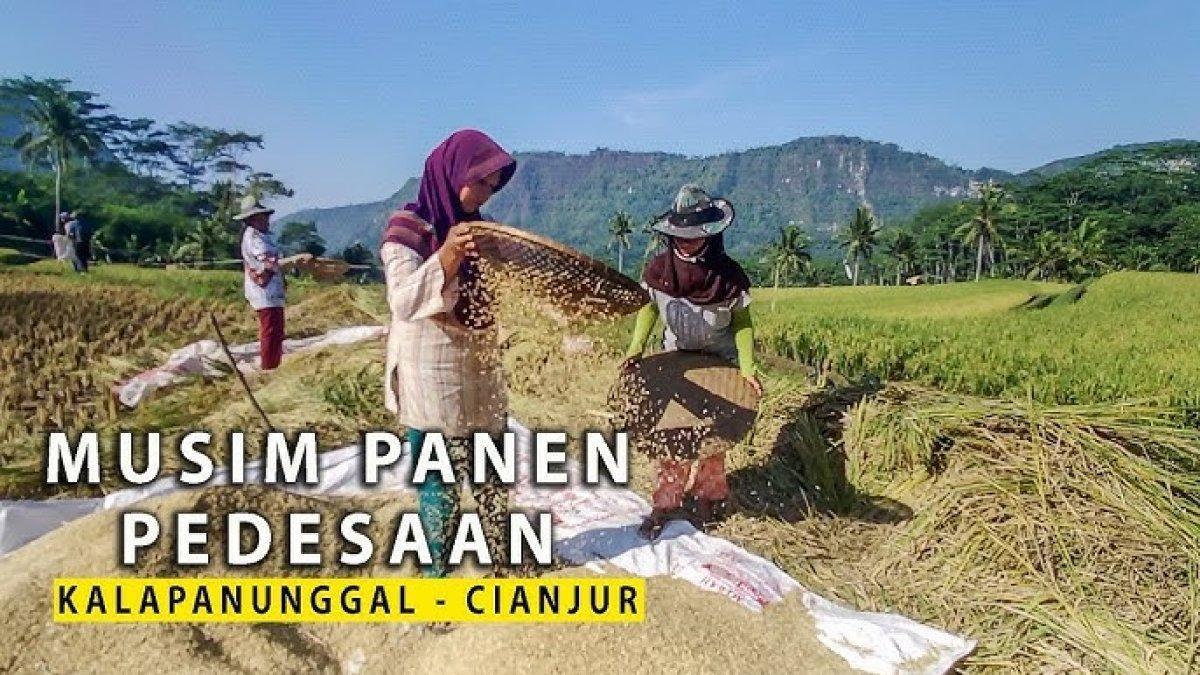 Meskipun julukannya lumbung padi nusantara, kabupaten ini jutrus termasuk wilayah kurang sejahtera ke 5 se Jawa Barat setelah Garut dan Tasikmalaya.
