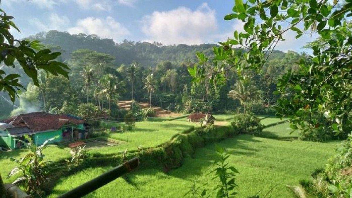 DANA DESA 2025 - Ilustrasi suasana desa rumah di tengah persawahan. Sebanyak 15 desa di Kabupaten Temanggung, Jawa Tengah (Jateng) mendapatkan dana desa 2025 tertinggi antara Rp1,2- Rp1,5 miliar, 30 desa lainnya di bawah Rp700 juta melansir Kemenkeu, Selaas (1/7/2025).