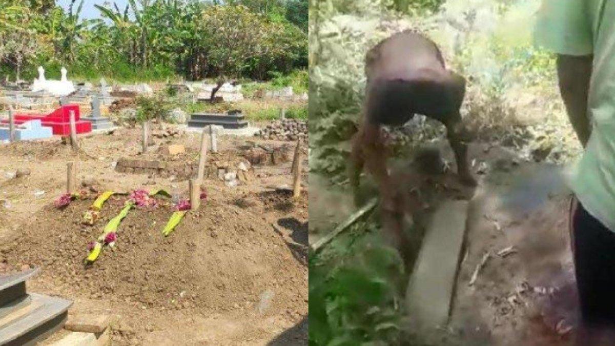 makam di Jember digali secara misterius