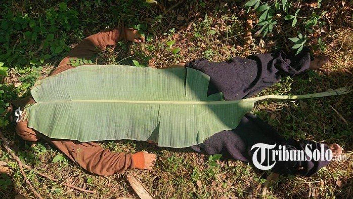 Mayat perempuan tanpa identitas ditemukan di kebun pisang di Dukuh Kalioso, Desa Jetiskarangpung, Kecamatan Kalijambe, Kabupaten Sragen.