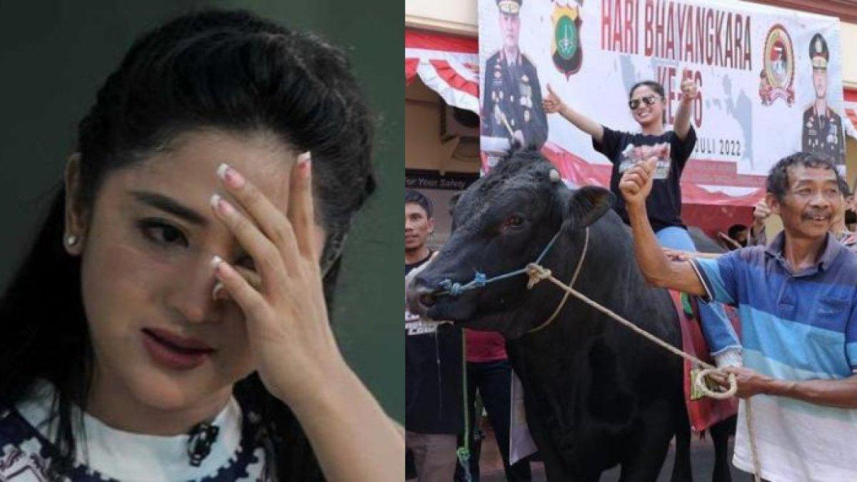 Niat hati mau berkurban, sapi Dewi Perssik malah ditolak ketua RT kediamannya.