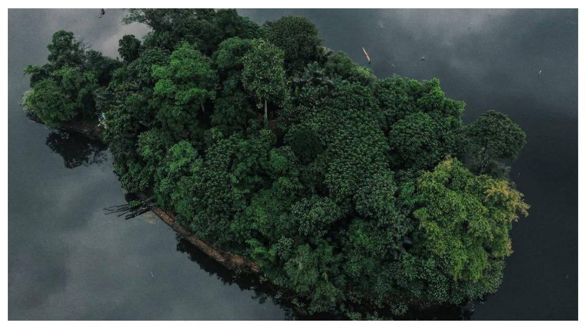 Pulau Nusa yang ada di tengah Danau Situ Gede