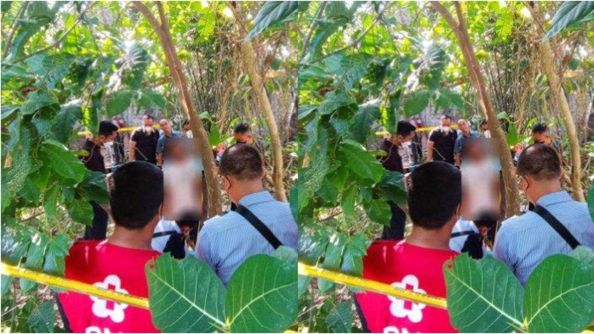 Pemuda tanpa indentitas di Bali ini nekat akhiri hidupnya, gantung diri di pohon.