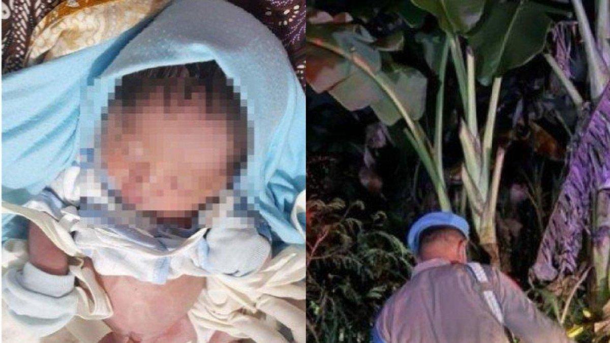 Penemuan bayi di kebun pisang