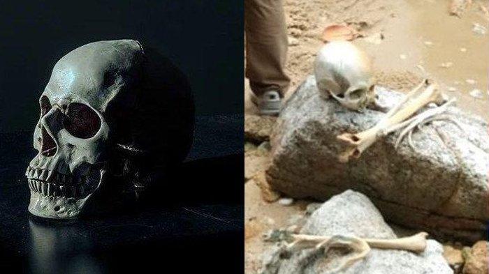 Penemuan kerangka manusia di Jambi