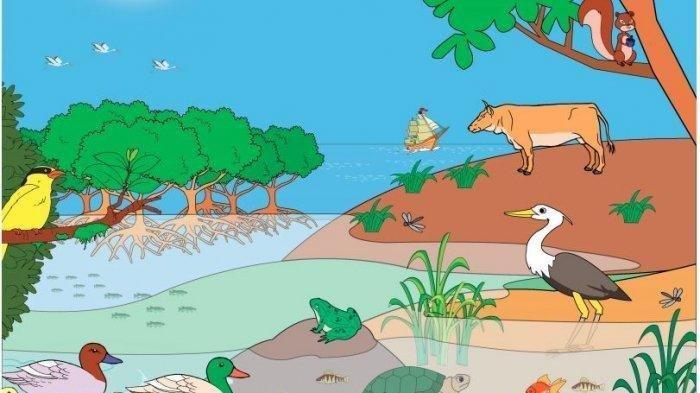 Pengertian dan komponen penyusun ekosistem