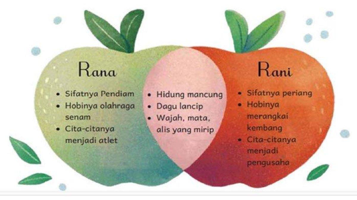 persamaan dan perbedaan pada si Kembar Rana dan Rani.