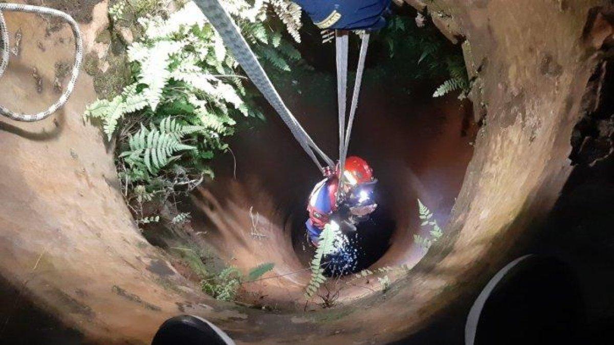 Petugas Gulkarmat Jakarta Selatan mengevakuasi ayam peliharaan warga Kemang yang tercebur sumur pada Kamis (22/7/2023).