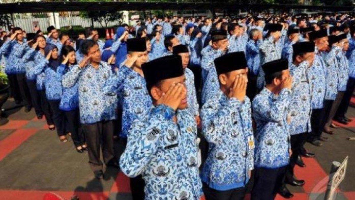 Ilustrasi pegawai negeri sipil (PNS), aparatur sipil negara (ASN).