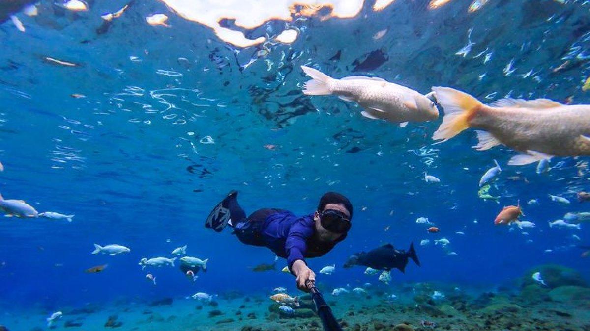 Menyelam di Umbul Ponggok, Klaten.