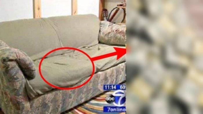 Pria temukan hewan di dalam sofanya