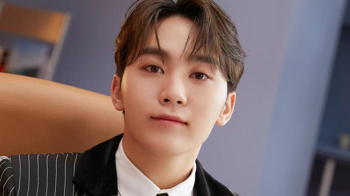 Profil Seungkwan Seventeen.