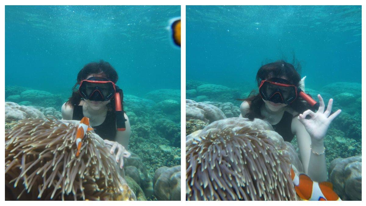Pemandangan bawah laut Pulau Sebesi
