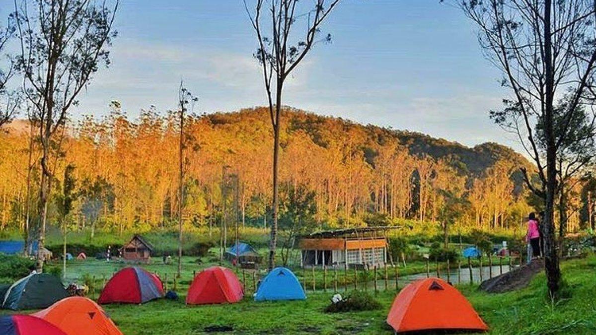 Suasana pagi berkemah di Ranca Upas, Bandung.