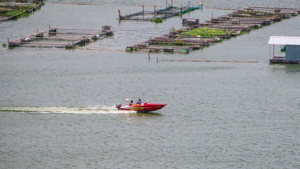 OBYEK WISATA KLATEN: Menikmati speedboat yang ditawarkan di Rowo Jombor