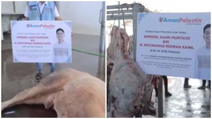 Ridwan Kamil berkurban di Palestina atas nama anak sulungnya almarhum Eril