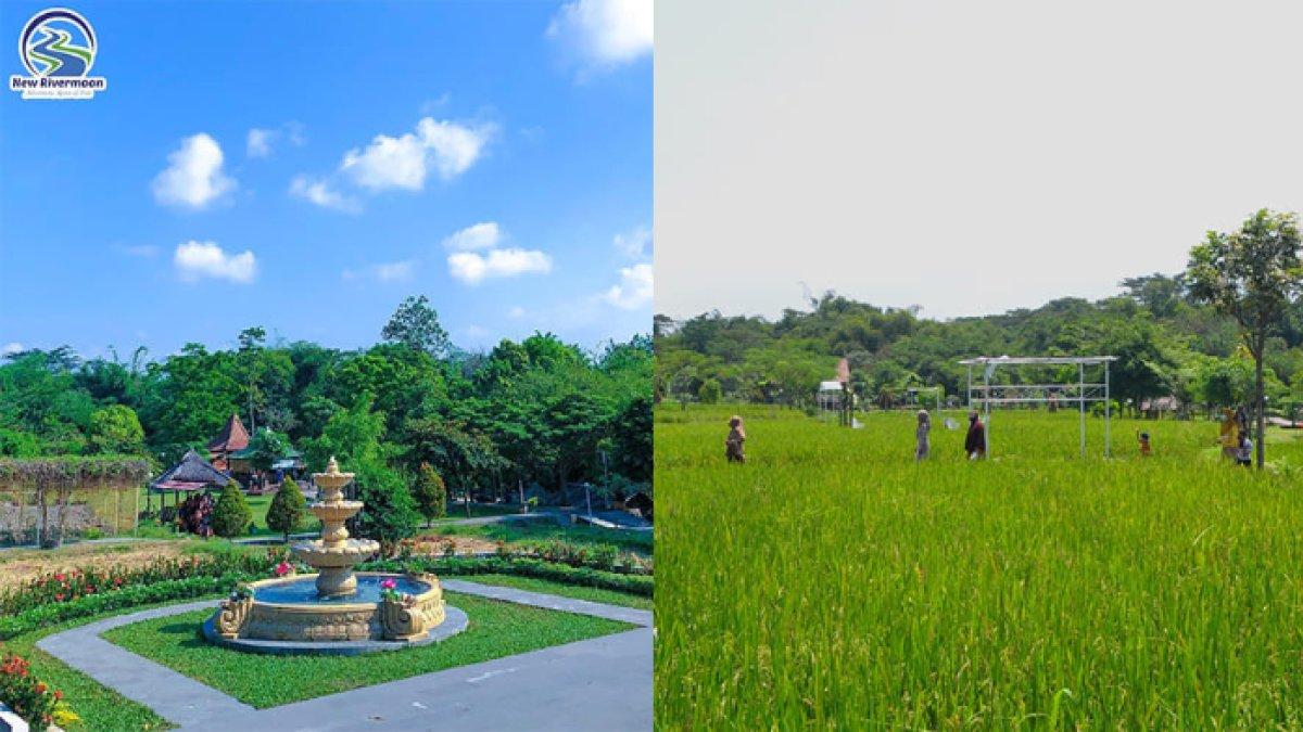 OBYEK WISATA KLATEN: Pemandangan hijau di New Rivermoon Klaten