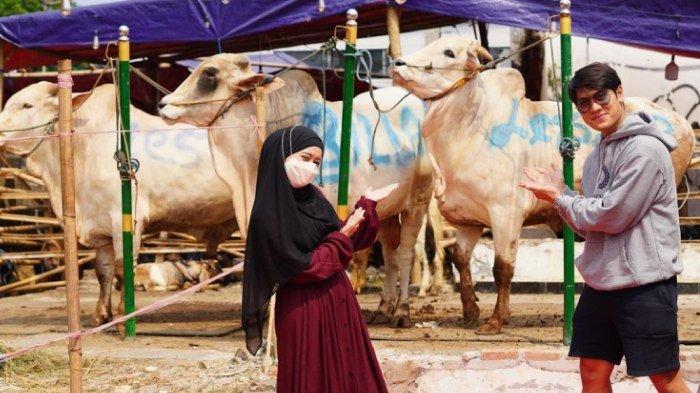 Sapi kurban Rizky Billar dan Lesti Kejora
