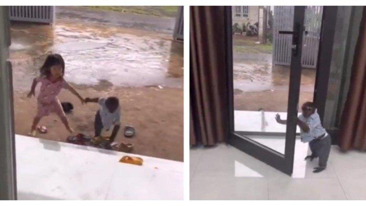 Seekor kera dilatih warga Bali menjadi baby sitter u