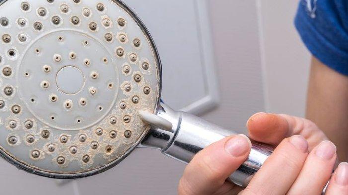 shower mandi