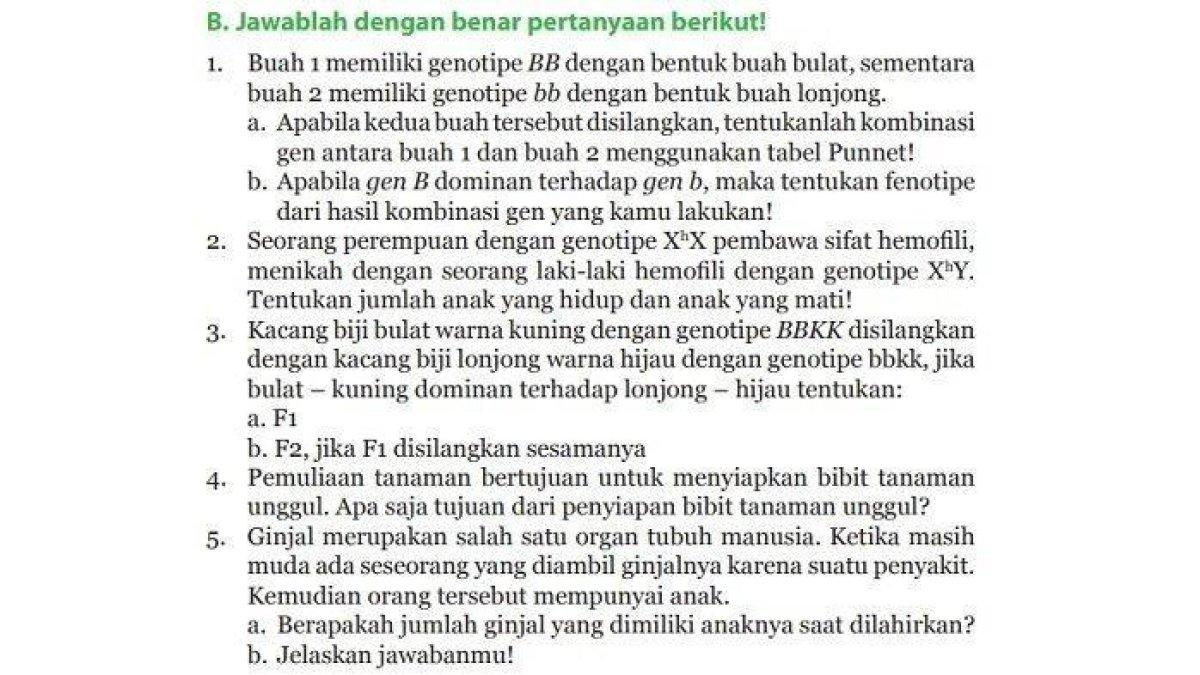 Berikut adalah kunci jawaban IPA Kelas 9 SMP Halaman 159. Di halaman 159, siswa diminta untuk menjawab soal Uji Kompetensi bagian B