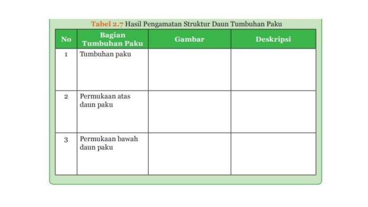 Soal & Kunci Jawaban IPA SMP Kelas 9 Kurikulum 2013: Halaman 82
