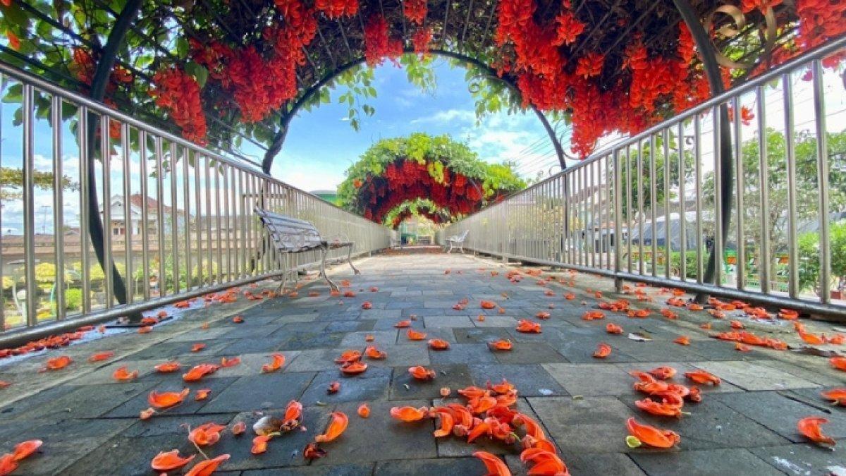 WISATA DI MAGELANG - Salah satu spot foto instagramable di Kebun Bibit Senopati berupa lengkungan menyerupai terowongan yang ditumbuhi tanaman, Jumat (6/1/2023).