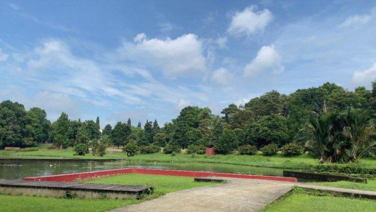 TEMPAT WISATA BOGOR - Rekomendasi tempat ngabuburit di Cibinong Bogor. Kebun Raya Cibinong menjadi destinasi wisata yang ada di Kompleks Cibinong Science Center - Botanical Garden (CSC-BG) BRIN.