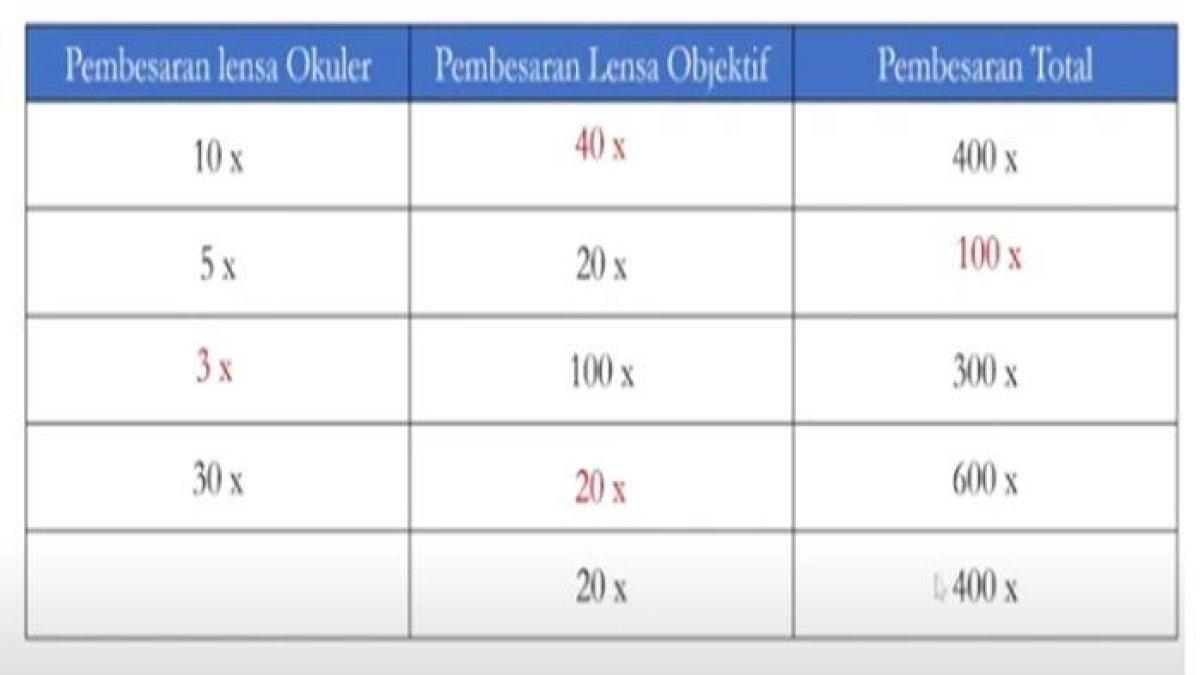 Tabel jawaban nomor 3, IPA kelas 8 halaman 25-26 Kurikulum Merdeka, bagian Review Bab.