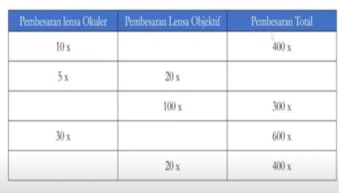 Tabel soal nomor 3, IPA kelas 8 halaman 25-26 Kurikulum Merdeka, bagian Review Bab.