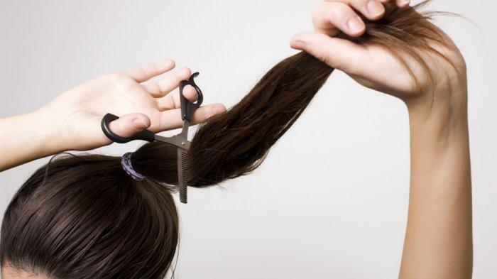Ilustrasi potong rambut.