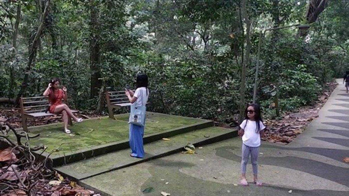 Pengunjung Taman Wisata Alam Suranadi, Narmada, Lombok Barat berswafoto di taman mini area dalam kawasan hutan.