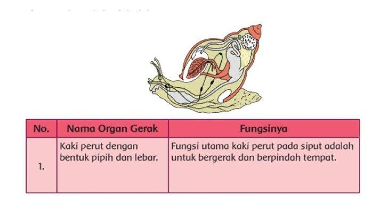 Gambar pada Buku Tema 1 Kelas 5 SD