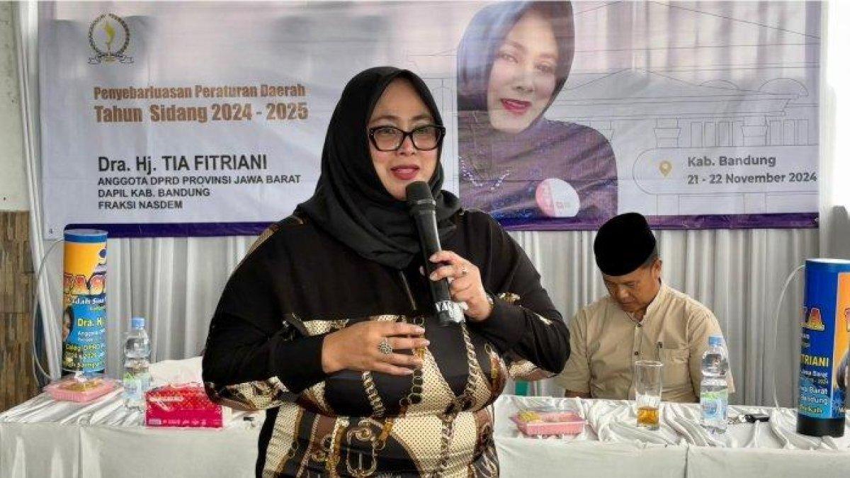 PROFIL TIA FITRIANI - Tia Fitriani, legislator Nasdem minta Dedi Mulyadi dipanggil ke DPRD Jawa Barat, buntut kritik sang gubernur.