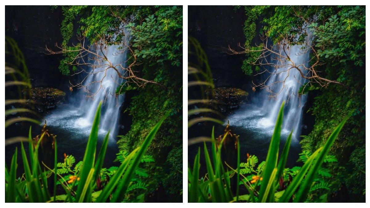 Air Terjun Putuk Truno